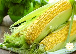 Cách nấu bột cá trach với lá sen cho người tiểu đường